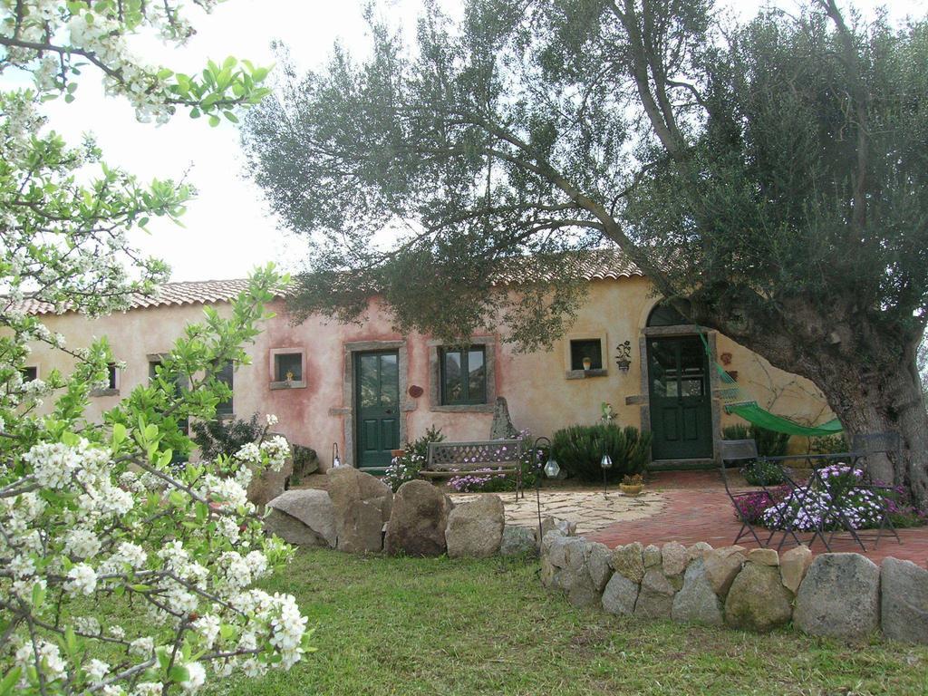 La Mesenda Rooms & Apartments Arzachena Buitenkant foto